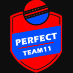 Perfect Team11